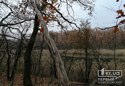 Фото к новости Главное фото новости