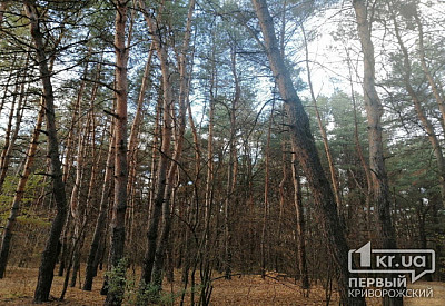 Фото к новости Главное фото новости