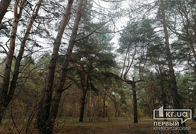 Фото к новости Главное фото новости