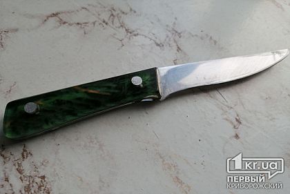 Убийство из-за хрустальных ваз: криворожанина посадили в тюрьму