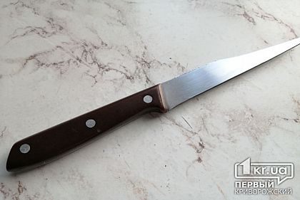 Криворожанину, подрезавшему мужчину, вынесли приговор