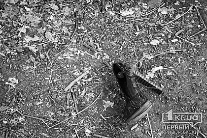 Криворожанина, который убил супругу, посадили в тюрьму