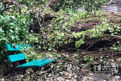 Шифер и деревянные брусья бесплатно передадут для ремонта крыши 4 многоэтажек