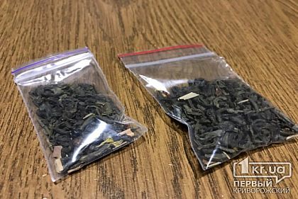 Купил пистолет на рынке и сделал дома нарколабораторию: мужчине вынесли приговор