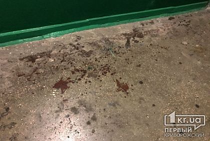 В Кривом Роге зарезали пенсионерку (исправлено)