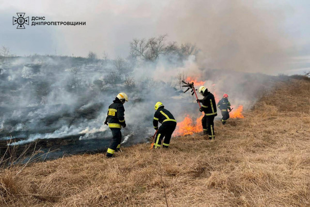 За сутки на Днепропетровщине произошло 97 пожаров в экосистемах