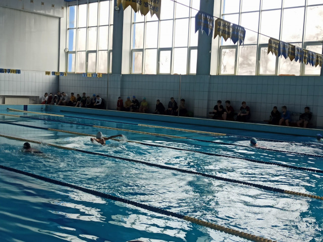 В Кривом Роге состоялись соревнования по плаванию, посвященные Дню украинской женщины
