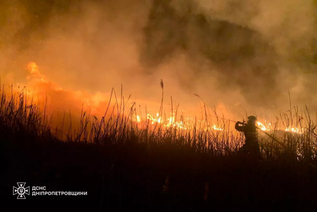 За минулу добу рятувальники ліквідували 58 пожеж в екосистемі