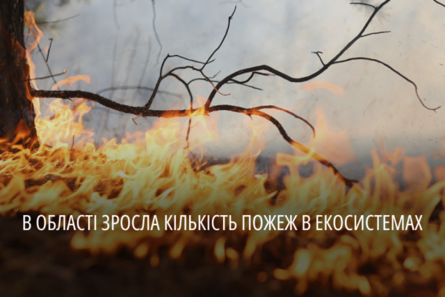 Від початку року в екосистемах Дніпропетровщини сталося понад 800 пожеж