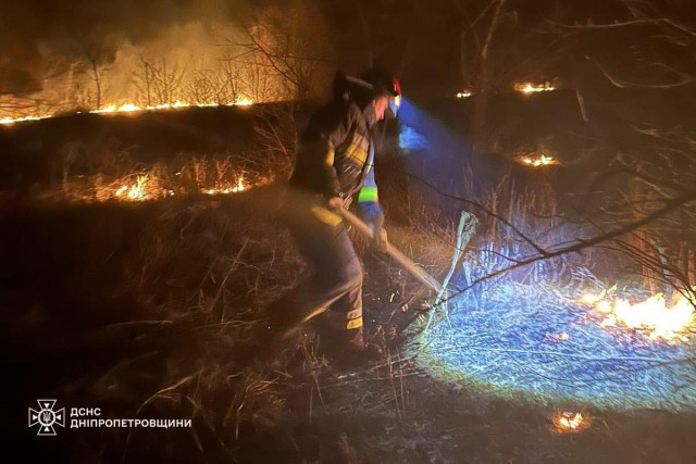За сутки на Днепропетровщине возникло 50 пожаров в экосистемах