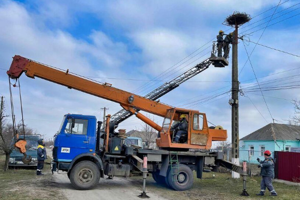 На Дніпропетровщині енергетики допомогли зберегти на електроопорі гніздо лелек