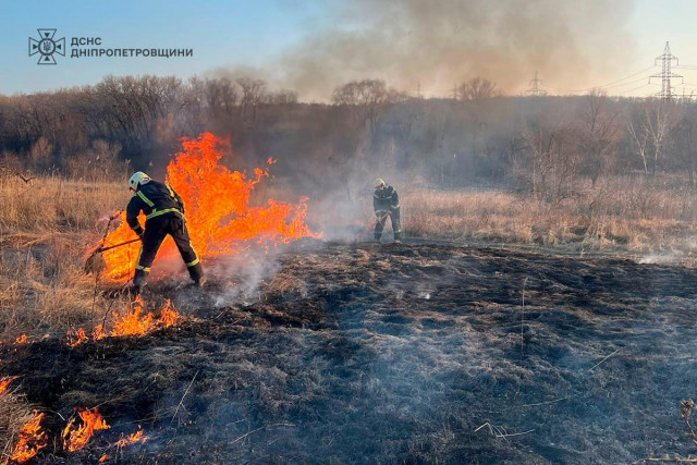 За минувшие сутки на Днепропетровщине ликвидировали 48 возгораний в экосистеме