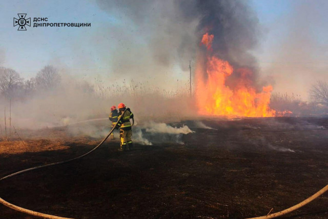 За прошедшие сутки спасатели Днепропетровщины ликвидировали 105 пожаров в экосистемах