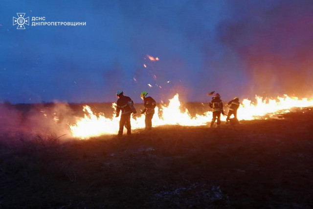 Займання сухої рослинності та сміття: за добу на Дніпропетровщині загасили 50 пожеж