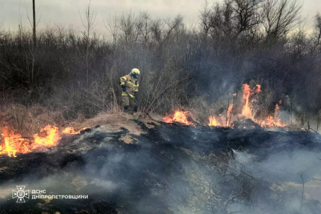 Создали пожары в экосистемах: на Днепропетровщине на 6 человек составили админпротоколы