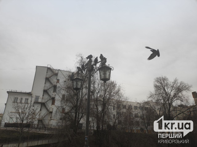 16 марта в Кривом Роге будет облачная погода