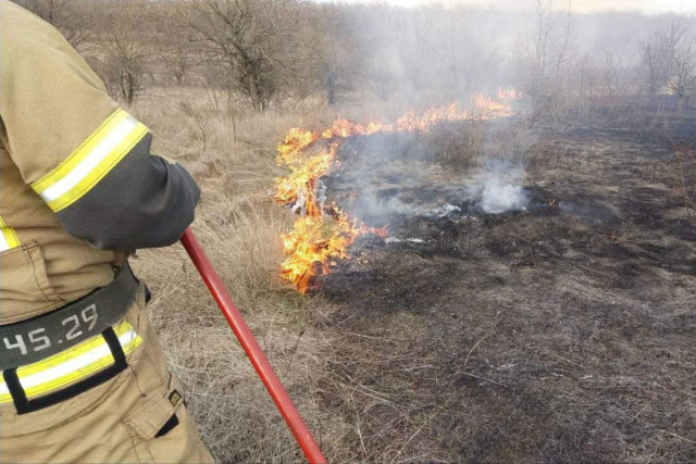 В Криворожском районе горела сухая трава