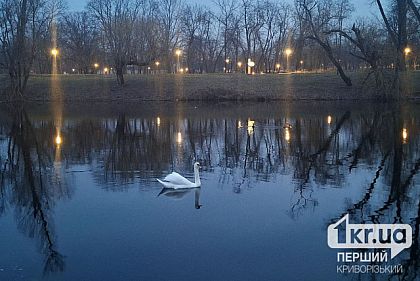 Погода у Кривому Розі 2 березня