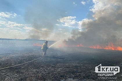 В Кривом Роге горела сухая трава и камыш