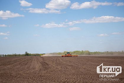 Днепропетровские аграрии уже посеяли 9 тысяч гектаров яровых культур