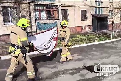 У Кривому Розі рятувальники врятували кота, що застряг на дереві