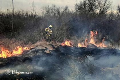 Понад 1 400 пожеж загасили рятувальники в екосистемах з початку року