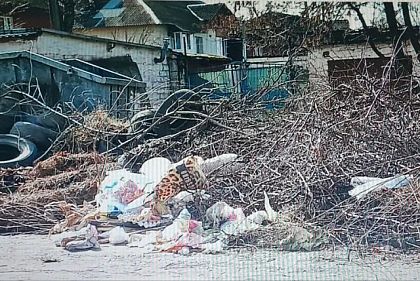 В Кривом Роге выписали 11 штрафов за нарушение благоустройства