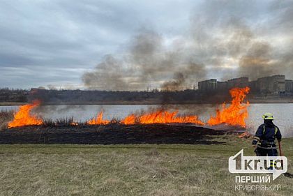 На Криворожье ликвидировали пожары в экосистеме