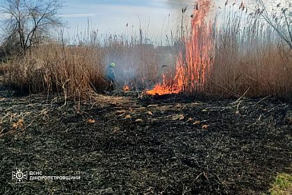 За добу на Дніпропетровщині загасили 20 пожеж в екосистемах