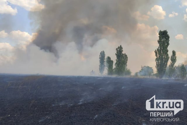 В Терновском районе Кривого Рога горело поле пшеницы
