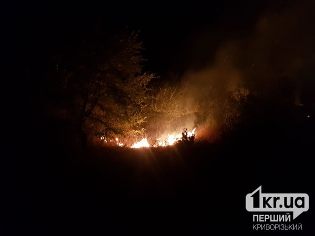 На Криворожье из-за атаки вражеским беспилотником возник пожар на сухой траве