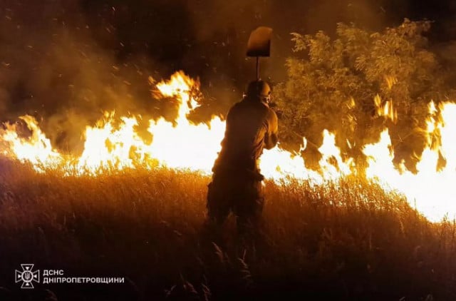 За добу на Дніпропетровщині вогонь знищив понад 41 гектар екосистем