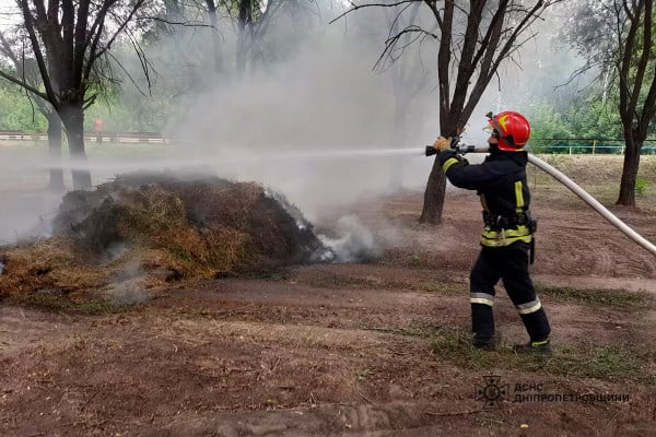 Спасатели на Днепропетровщине потушили 48 пожаров в экосистемах