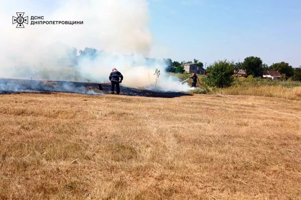 Спасатели на Днепропетровщине потушили 48 пожаров в экосистемах