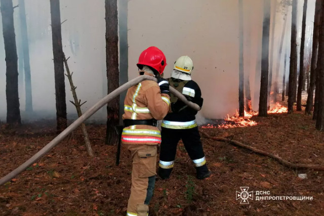 За добу в екосистемах Дніпропетровщини ліквідували 67 пожеж: горіли сільгоспугіддя, сміття та ліс