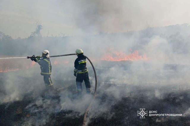 На Дніпропетровщині за добу згоріло 70 гектарів природних екосистем