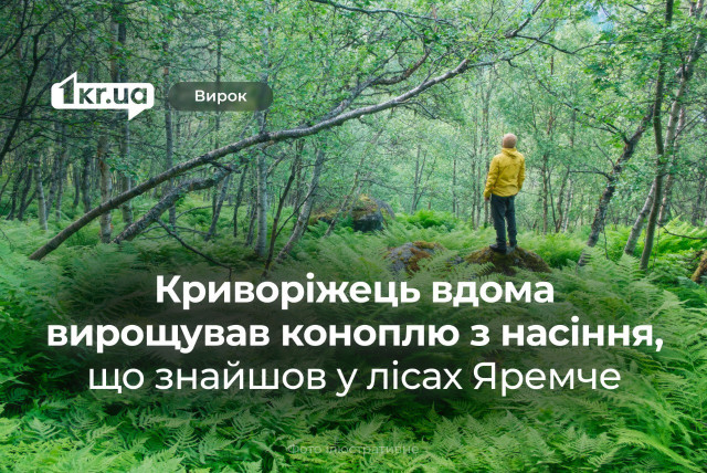 Криворіжець зберігав у котельні канабіс, який виростив зі знайденого у лісі Яремче насіння: вирок