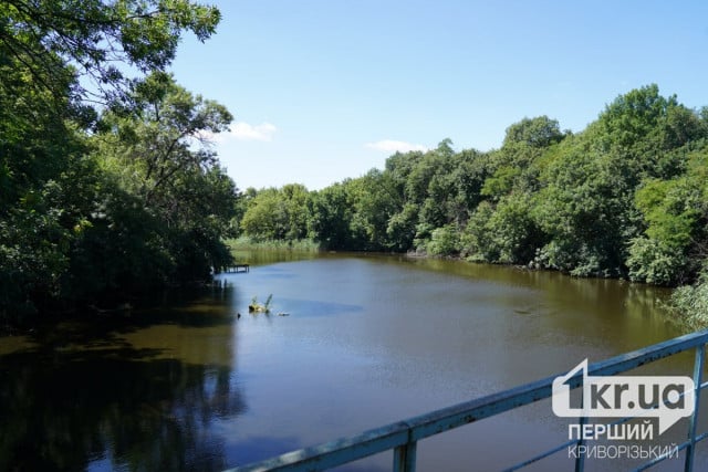 Забарвлена та каламутна: у Кривому Розі перевірили якість питної води