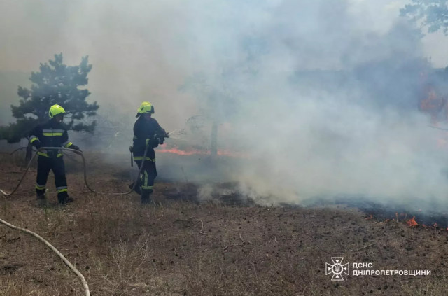 В екосистемах Дніпропетровщини за добу ліквідували 75 пожеж: причини займань