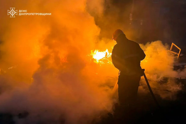 За добу на Донеччині вогонь знищив понад 60 гектар