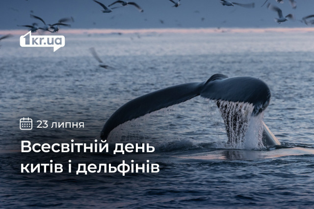 23 июля — Всемирный день китов и дельфинов