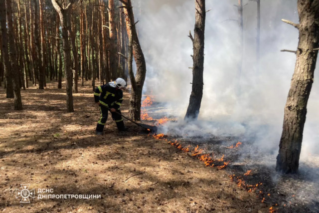 На Дніпропетровщині пожежна небезпека збережеться до кінця тижня