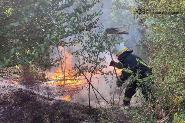 За добу в екосистемах Дніпропетровщини ліквідували 41 пожежу: що горіло