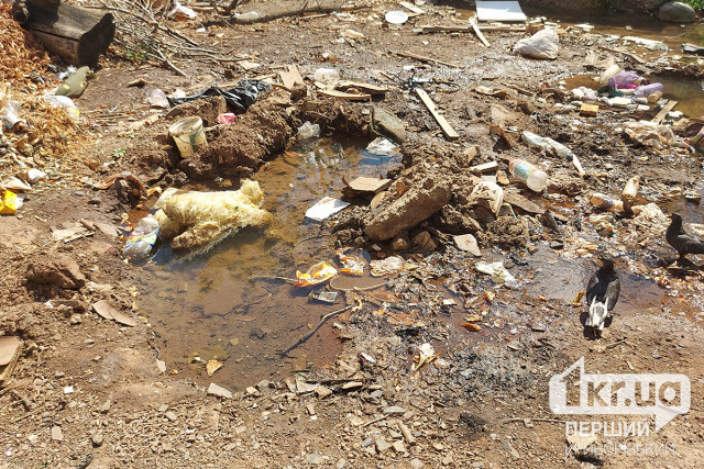 5 порыв водопровода на одной из улиц Кривого Рога за 2 месяца