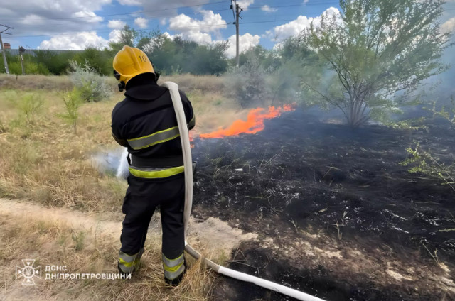 За добу екосистеми Дніпропетровщини горіли 42 рази