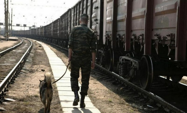 За полгода охрана Приднепровской железной дороги уберегла от краж грузы на 740 тысяч гривен