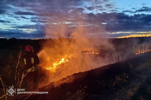 30 июля на Днепропетровщине горело 48 гектаров территории