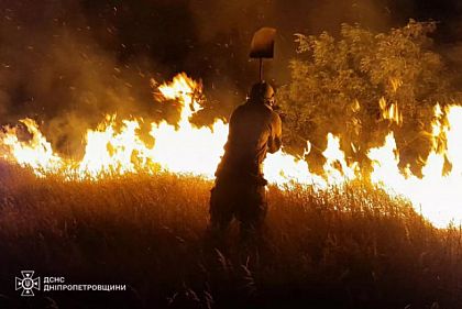 За сутки на Днепропетровщине огонь уничтожил более 41 гектаров экосистем