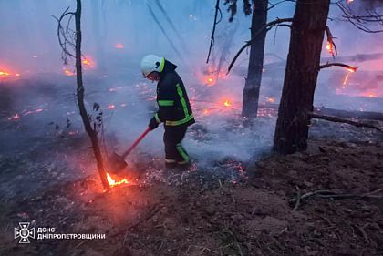 За прошедшие сутки на Днепропетровщине произошло 2 лесных пожара
