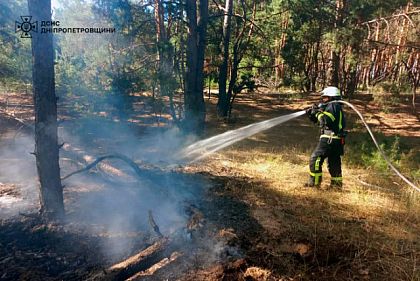 Горели лес, мусор и сухая трава: за прошедшие сутки на Днепропетровщине потушили 57 пожаров